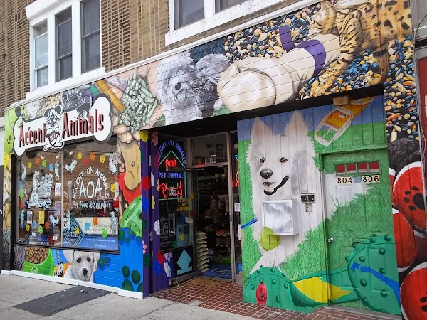 Ac'cent On ANIMALS - 804 South Street