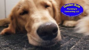 Golden Rule Plumbing & Contracting, LLC