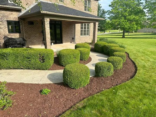 Hernandez Landscaping and More LLC