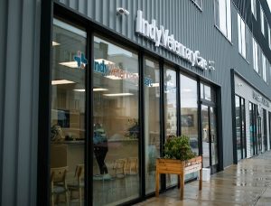 Indy Veterinary Care