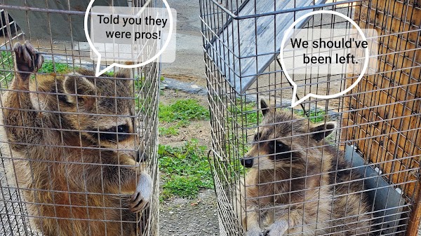 Next Generation Pest Control LLC