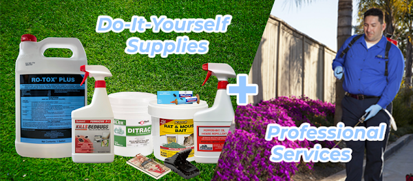 Peerless Pest Control on Market St.