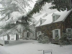 Penn State Behrend
