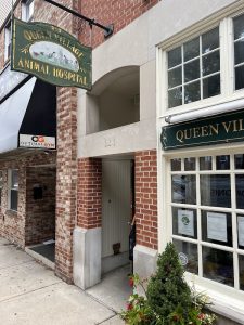 Queen Village Animal Hospital