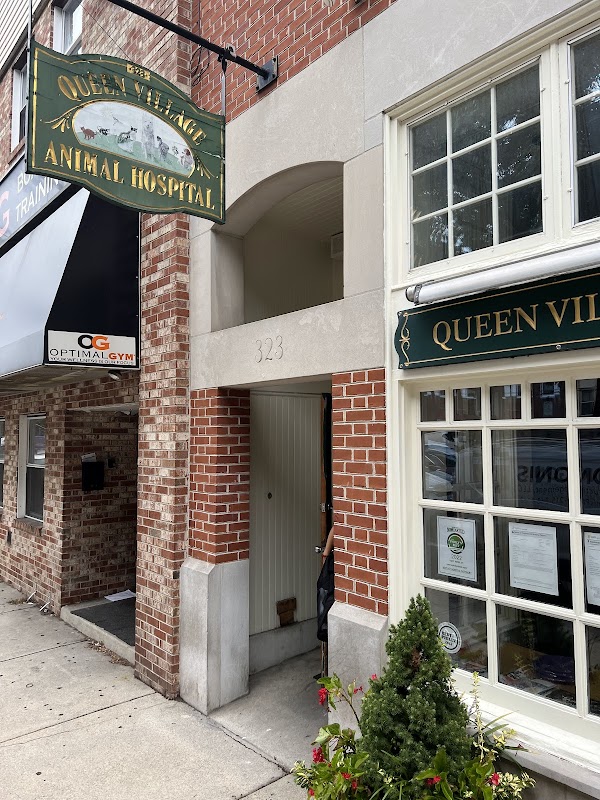 Queen Village Animal Hospital
