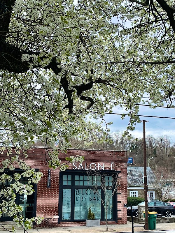 Salon L