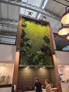 Southern Market Lancaster