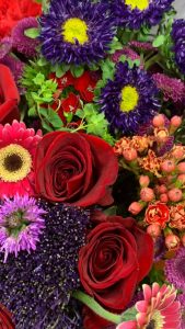 Spring Garden Flowers