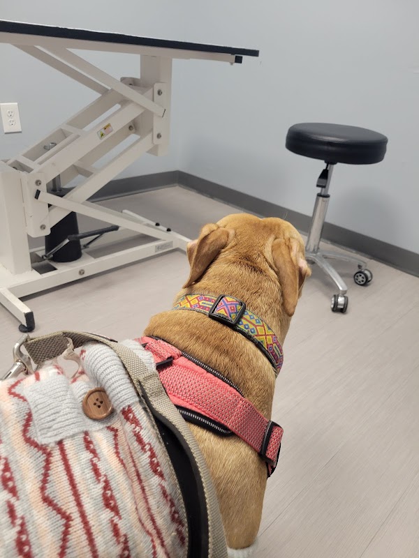 Washington Ave Animal Hospital