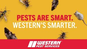 Western Pest Services - Pest Control, Maple Shade, NJ