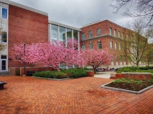 Willard Building